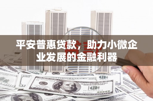 梨树平安普惠贷款，助力小微企业发展的金融利器