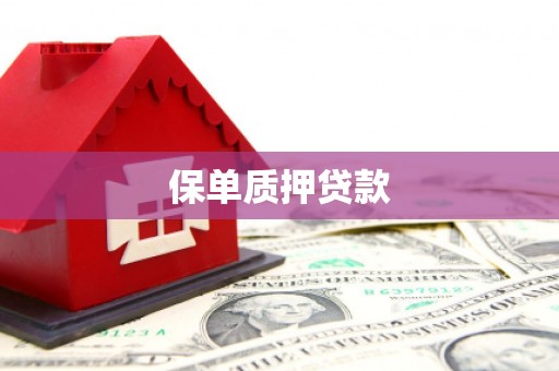 梨树保单质押贷款