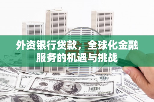 梨树外资银行贷款，全球化金融服务的机遇与挑战