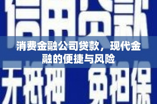 梨树消费金融公司贷款，现代金融的便捷与风险