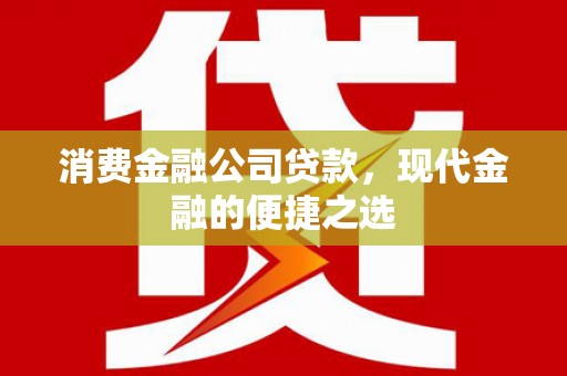 梨树消费金融公司贷款，现代金融的便捷之选