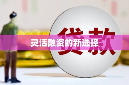 梨树灵活融资的新选择