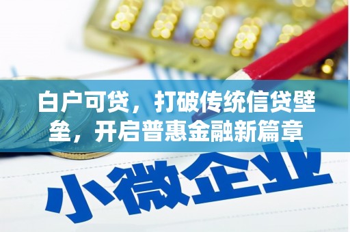 梨树白户可贷，打破传统信贷壁垒，开启普惠金融新篇章