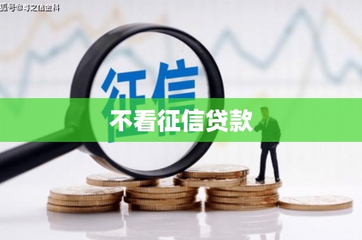 梨树不看征信贷款