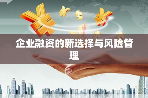 梨树企业融资的新选择与风险管理