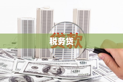梨树税务贷
