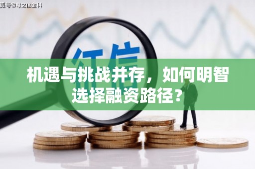 梨树机遇与挑战并存，如何明智选择融资路径？
