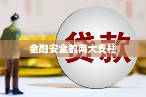 梨树金融安全的两大支柱