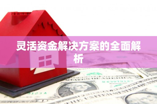 梨树灵活资金解决方案的全面解析